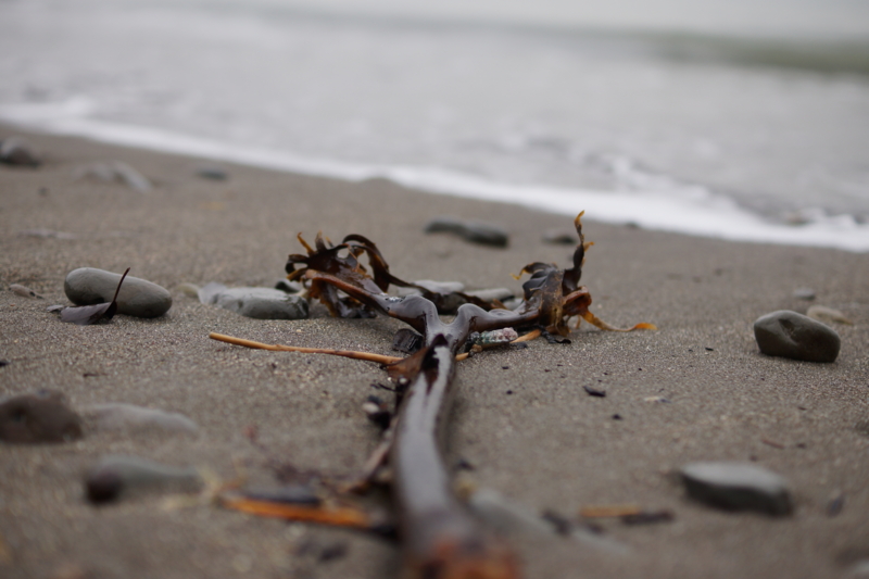 f:id:goldhead:20131102225906j:image
