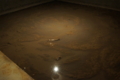 20140830205308