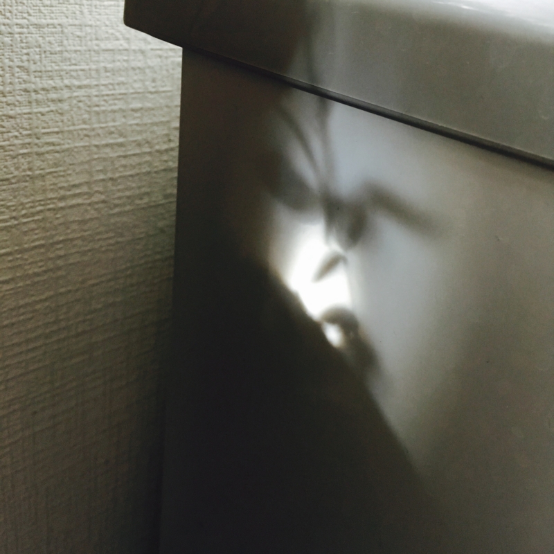 f:id:goldhead:20161005122518j:plain f:id:goldhead:20161005122518j:plain