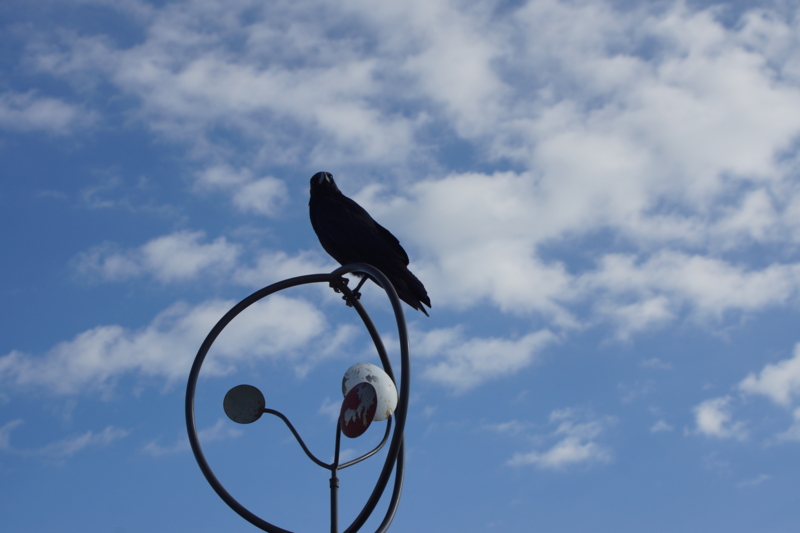 f:id:goldhead:20161210184304j:plain f:id:goldhead:20161210184304j:plain