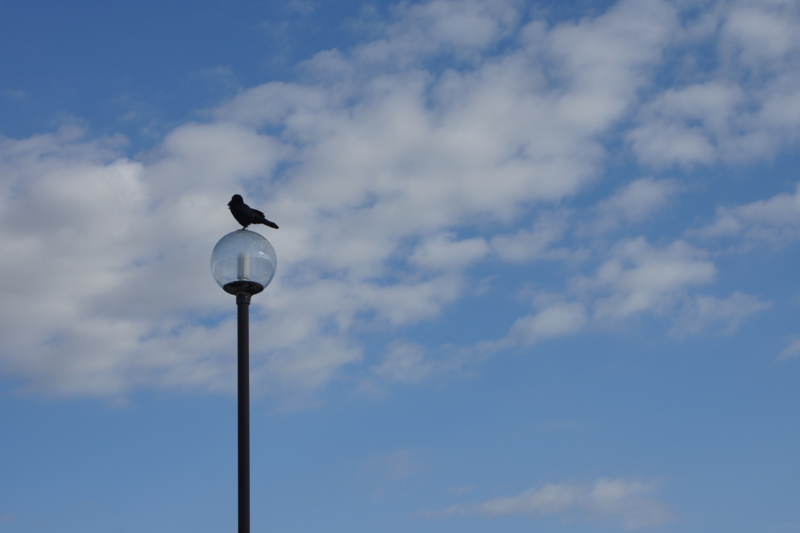 f:id:goldhead:20161210184305j:plain f:id:goldhead:20161210184305j:plain