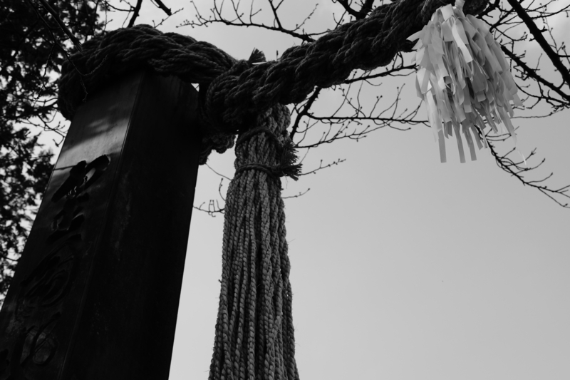 f:id:goldhead:20170102143304j:plain