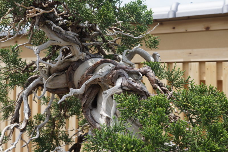 f:id:goldhead:20170503221114j:plain f:id:goldhead:20170503221114j:plain