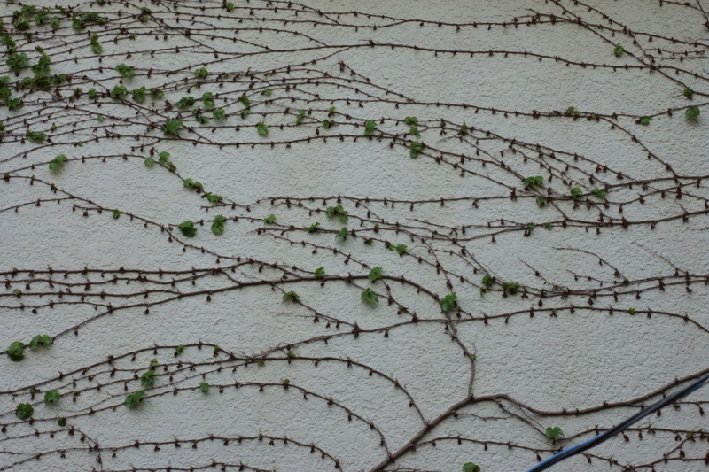 f:id:goldhead:20170617211437j:plain