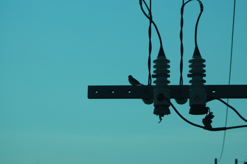 f:id:goldhead:20170708183445j:plain