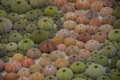 20171008210216