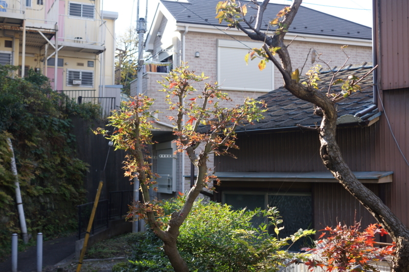 f:id:goldhead:20171205125632j:plain