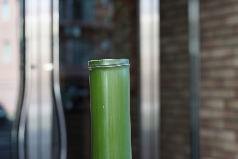 f:id:goldhead:20180103185940j:plain