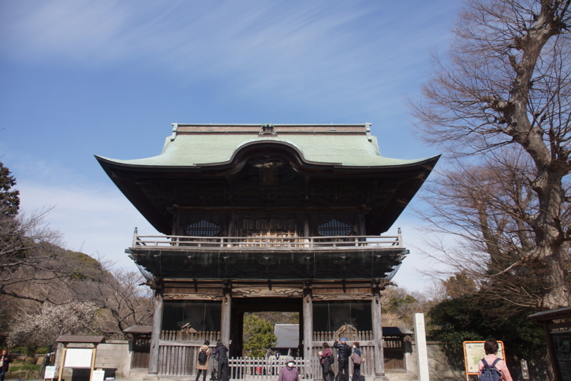 f:id:goldhead:20180304142542j:plain f:id:goldhead:20180304142542j:plain