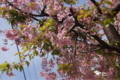 20180304142558