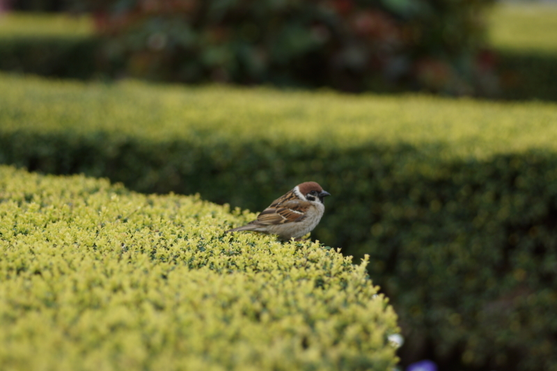 f:id:goldhead:20180407183201j:plain