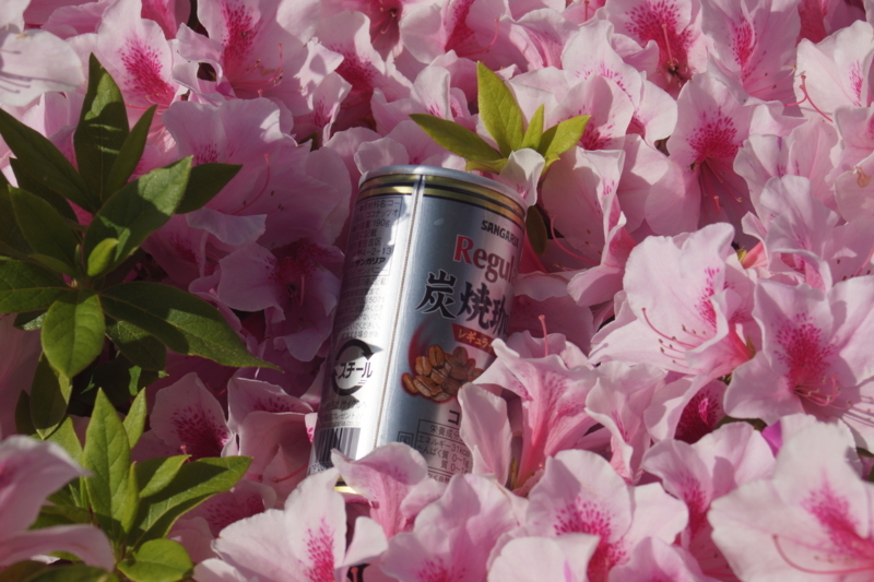 f:id:goldhead:20180422172908j:plain