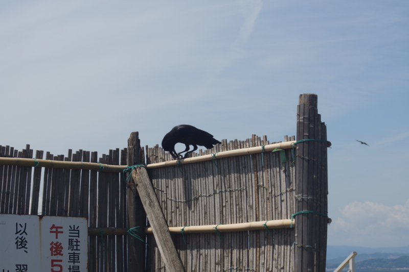 f:id:goldhead:20180426220721j:plain