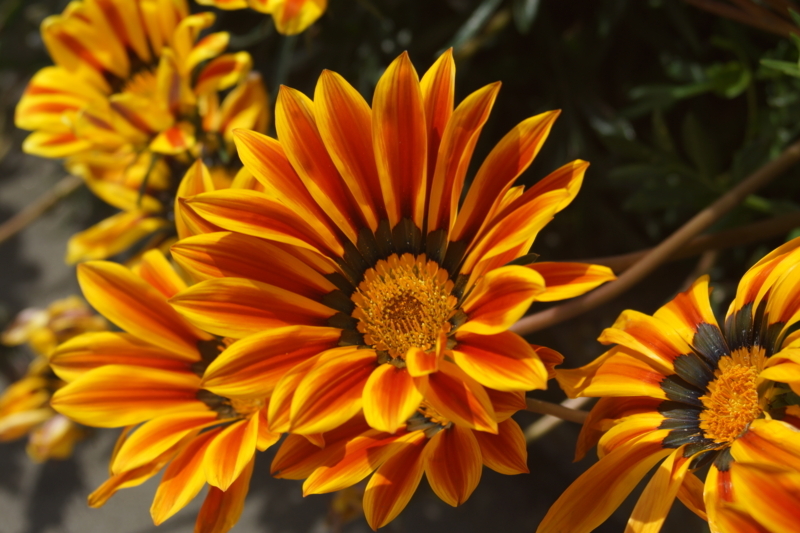 f:id:goldhead:20180426220733j:plain