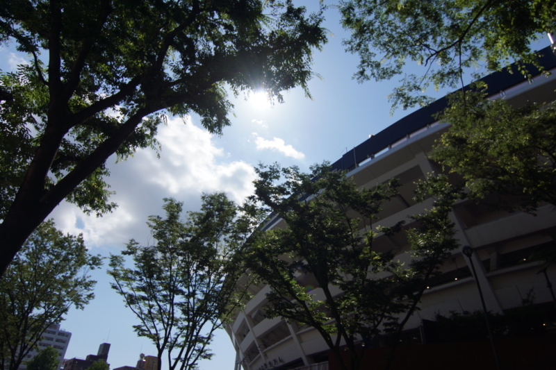 f:id:goldhead:20180602215144j:plain