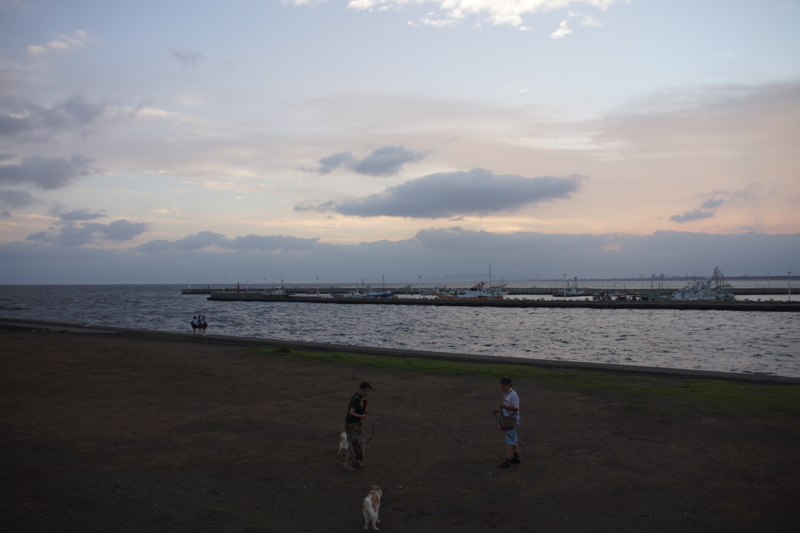f:id:goldhead:20180630021258j:plain