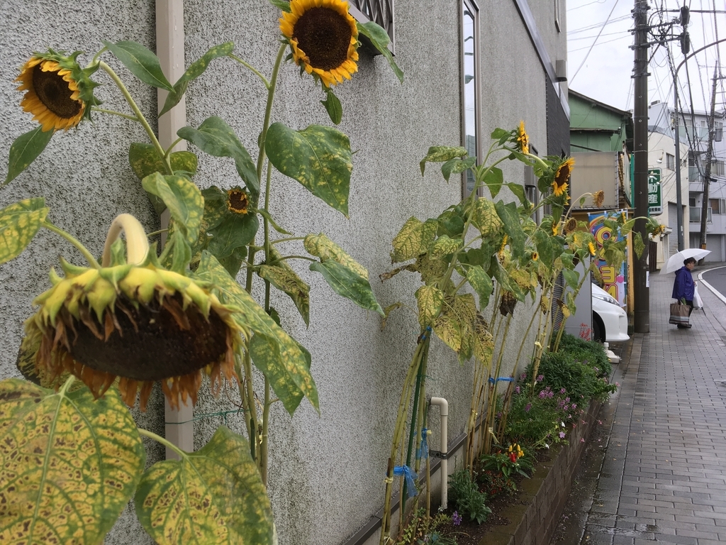 f:id:goldhead:20180830235010j:plain