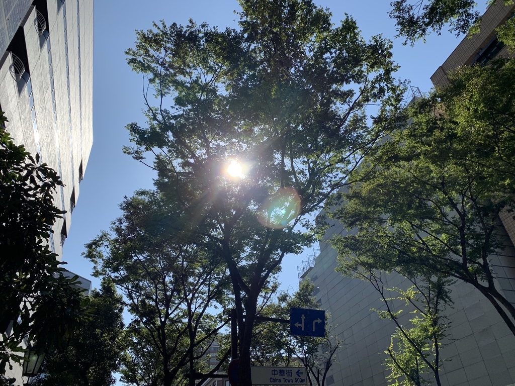 f:id:goldhead:20180928232415j:plain