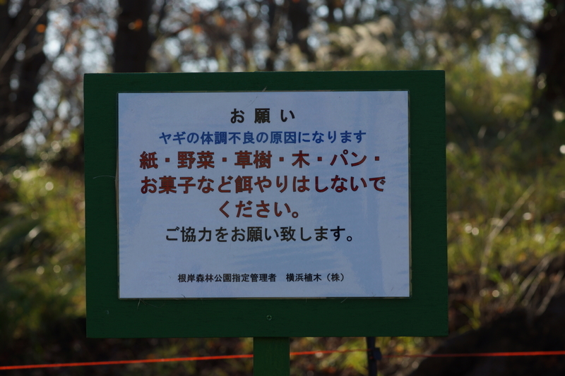 f:id:goldhead:20181117215724j:plain f:id:goldhead:20181117215724j:plain