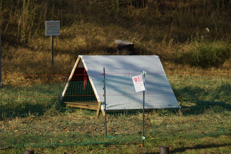 f:id:goldhead:20181117215733j:plain f:id:goldhead:20181117215733j:plain