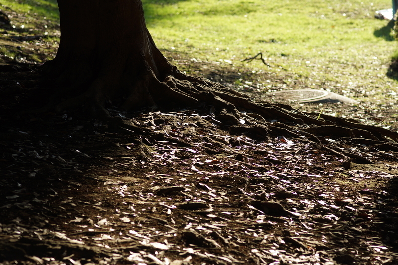 f:id:goldhead:20181117215739j:plain f:id:goldhead:20181117215739j:plain