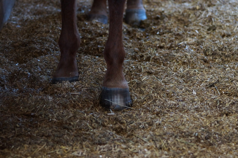 f:id:goldhead:20181117215744j:plain f:id:goldhead:20181117215744j:plain