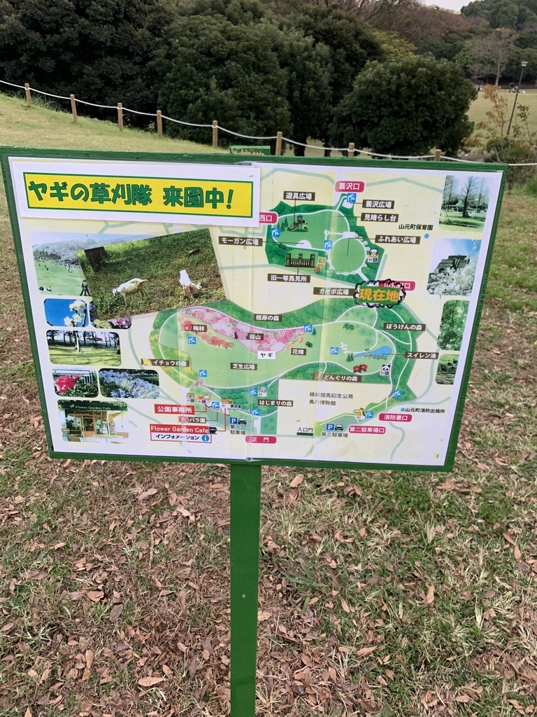 f:id:goldhead:20181117222503j:plain f:id:goldhead:20181117222503j:plain