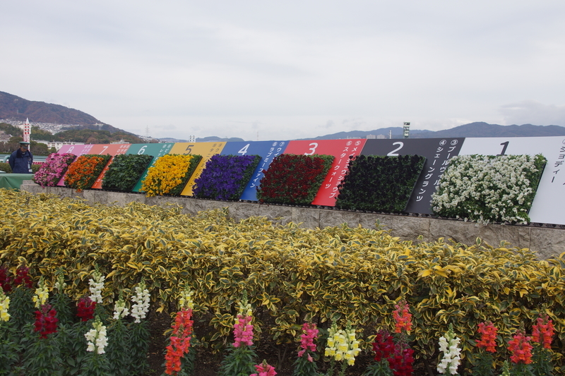 f:id:goldhead:20181210230829j:plain