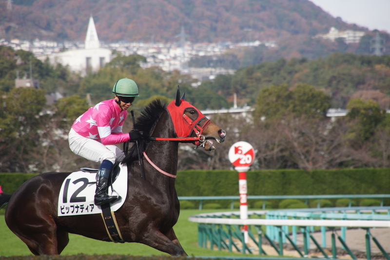 f:id:goldhead:20181210230834j:plain