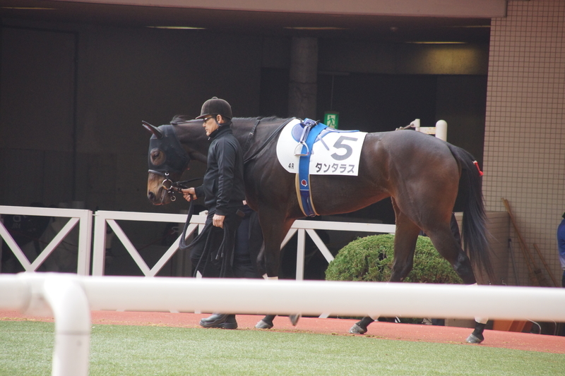 f:id:goldhead:20181210230835j:plain