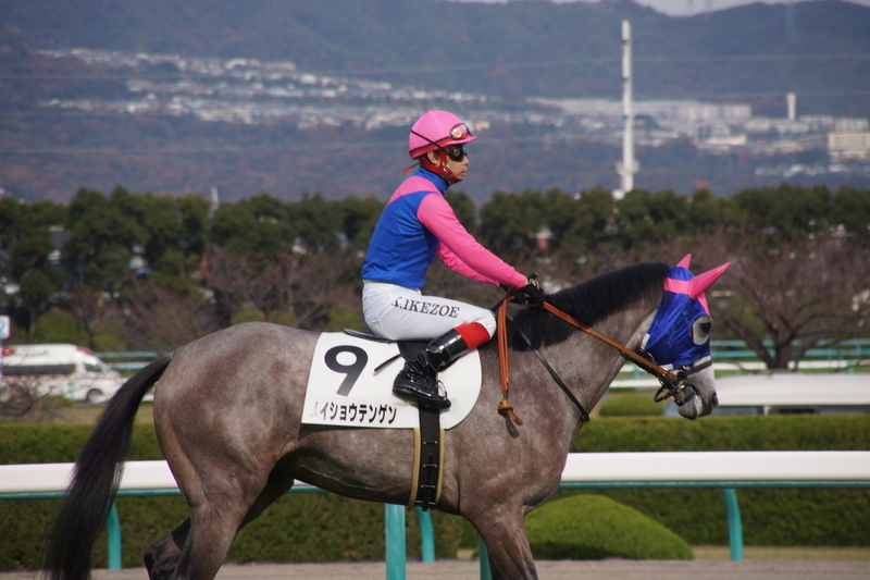 f:id:goldhead:20181210230838j:plain