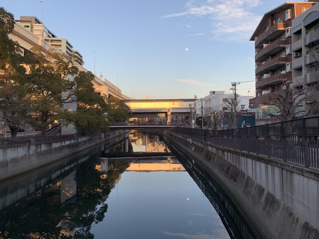 f:id:goldhead:20190119211137j:plain
