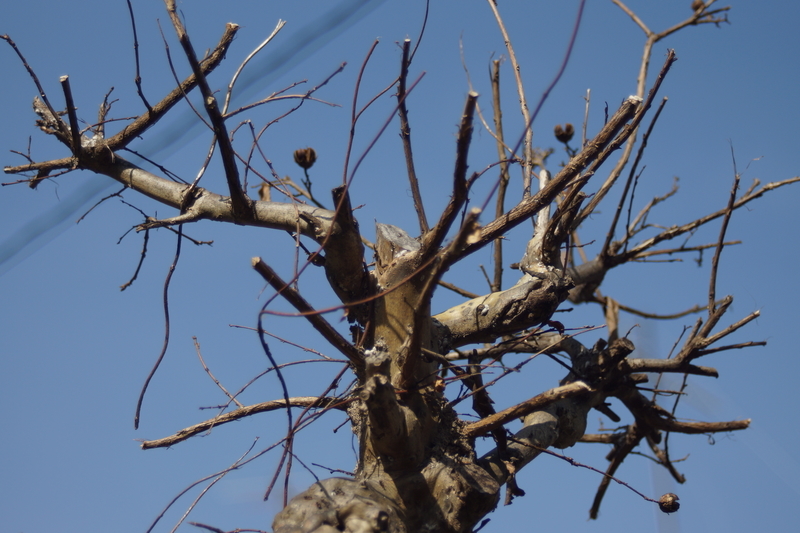 f:id:goldhead:20190216172922j:plain f:id:goldhead:20190216172922j:plain