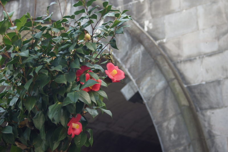 f:id:goldhead:20190216172925j:plain f:id:goldhead:20190216172925j:plain