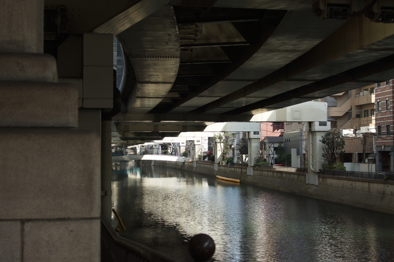 f:id:goldhead:20190216172926j:plain f:id:goldhead:20190216172926j:plain