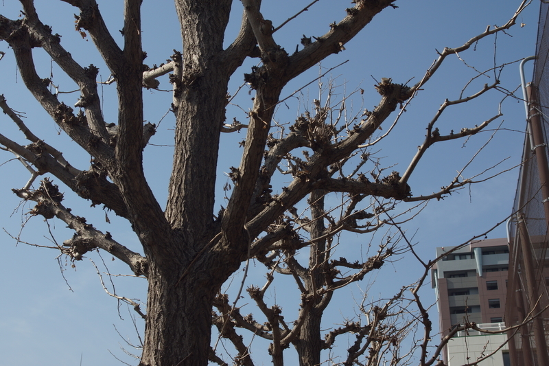 f:id:goldhead:20190216172928j:plain f:id:goldhead:20190216172928j:plain