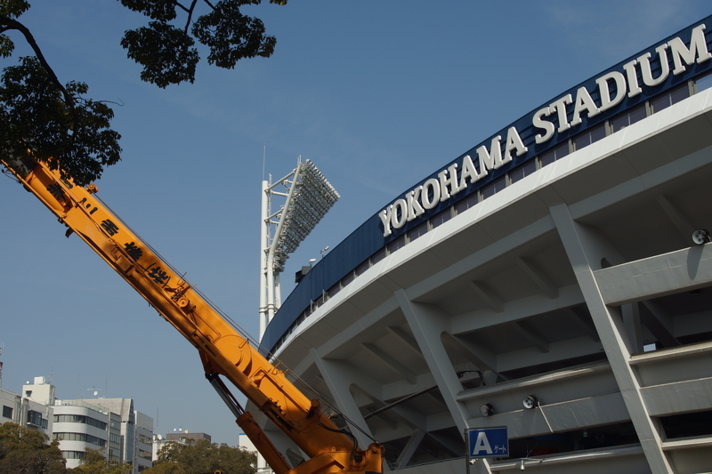 f:id:goldhead:20190216172931j:plain f:id:goldhead:20190216172931j:plain