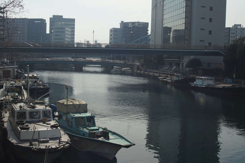 f:id:goldhead:20190216172941j:plain f:id:goldhead:20190216172941j:plain