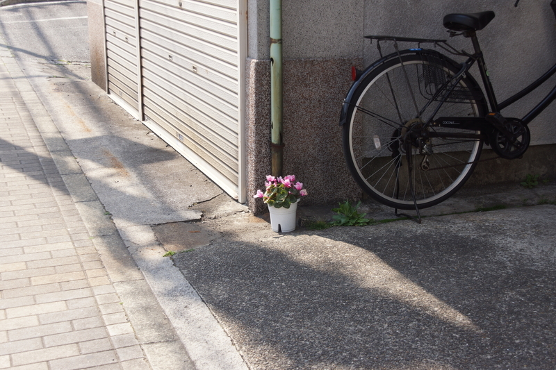 f:id:goldhead:20190407134942j:plain