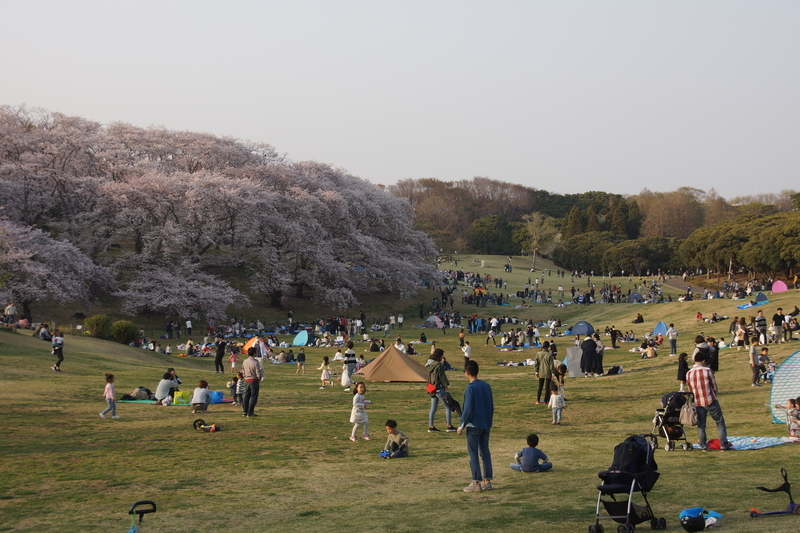 f:id:goldhead:20190407135000j:plain