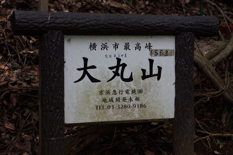 f:id:goldhead:20190503232214j:plain
