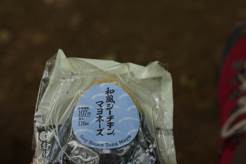 f:id:goldhead:20190503232231j:plain