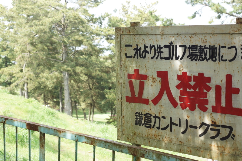 f:id:goldhead:20190503232235j:plain