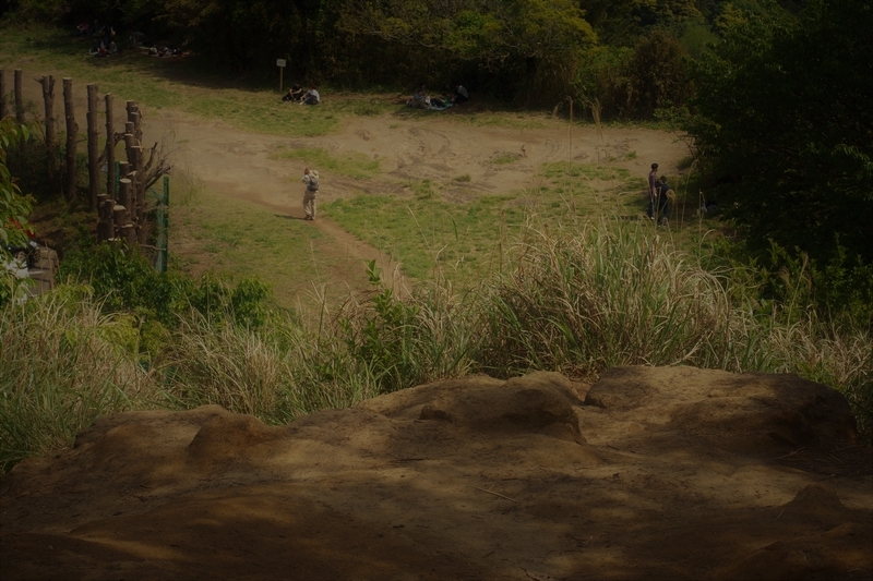 f:id:goldhead:20190503232237j:plain
