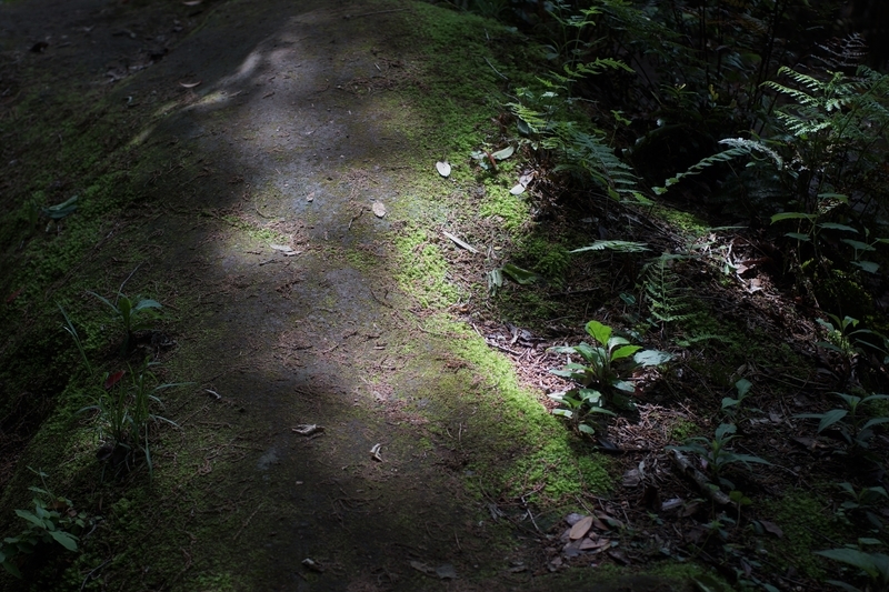 f:id:goldhead:20190503232241j:plain