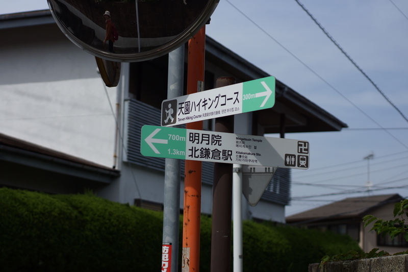 f:id:goldhead:20190503232246j:plain