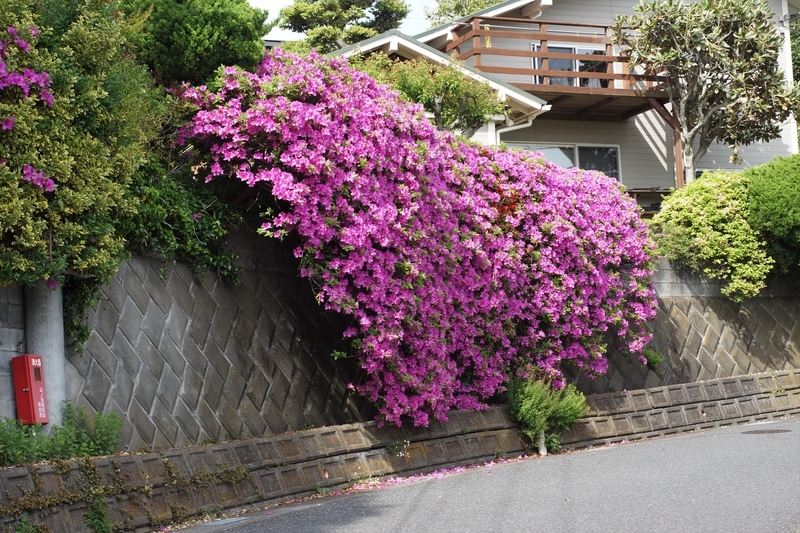 f:id:goldhead:20190503232256j:plain