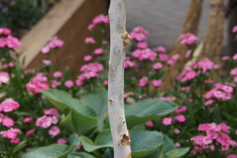 f:id:goldhead:20190530153217j:plain