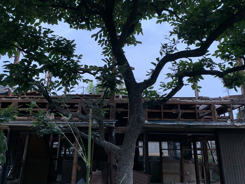 f:id:goldhead:20190717172213j:plain