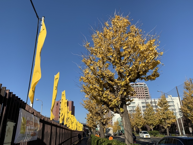 f:id:goldhead:20191212123822j:plain